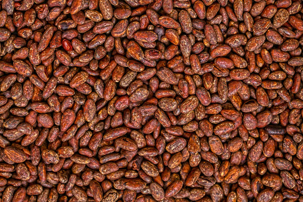 Roasted cacao beans
